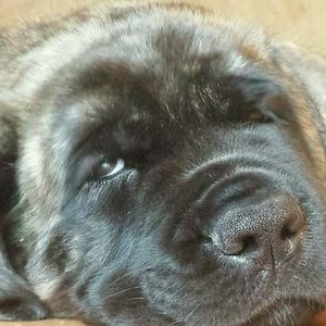 Meet your Posher, Jason